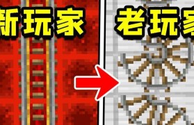 专业玩家论坛（探索专业玩家论坛的魅力，分享游戏乐趣，提升技能水平）