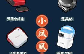 1000块投影仪的购买指南（物美价廉的投影仪选择和使用技巧）