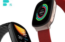 了解Paywatch（简化支付过程，提高安全性，实现财务控制）