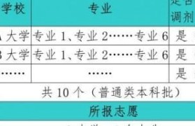 平行志愿录取学校的关键因素（探索平行志愿录取学校的要点和策略）