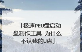 PS教程U盘存放需要多大的空间？（探究PS教程所占用的存储空间及其关键因素）