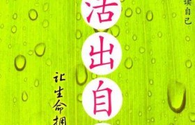 探寻台湾许宜铭的独特魅力（一个为社会公益而奋斗的年轻力量）