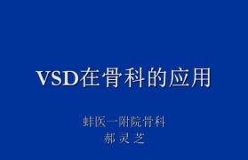 了解VSD5耳机的音质和性能特点（探索VSD5耳机的声音细节，让你沉浸音乐世界）