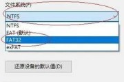 全面了解如何格式化U盘文件系统（学会选择适合你的文件系统类型并进行格式化）