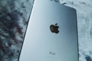 探索iPadmini4照相功能的魅力（一部小巧精致的照相神器）