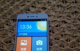 移动定制全网通手机的优势与特点（探索移动定制全网通手机的未来发展方向）