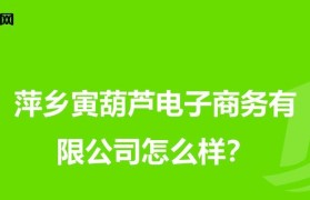 以直值电子商务的崛起与影响力（探索互联网时代下的新商业模式）