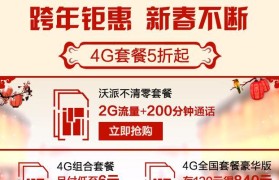 沃派60元不清零套餐全面解析（一天60元，畅享不清零的流量、通话和短信）