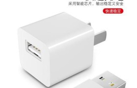 苹果6S充电特点与注意事项（了解苹果6S充电方式和技巧，保护电池寿命）