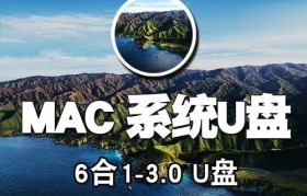 电脑设置U盘启动装系统的步骤及注意事项（快速、简便地使用U盘启动安装操作系统）