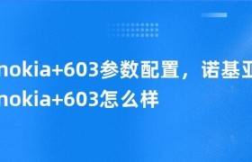 Nokia6拆机指南（了解如何拆解并维修你的Nokia6手机）