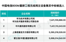 大唐移动（以技术创新为核心，满足用户多样化需求）