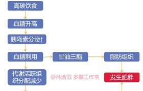 深入了解iQi分区教程（简单易懂的iQi分区教程，帮助您轻松掌握分区技巧）