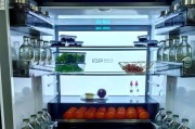 容声牌冰箱的优点与特点（出色的性能与高品质保障）