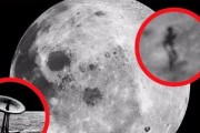 外星人的揭秘——来自未知星球的神秘生物（探索外星生物的起源、特征与可能性）