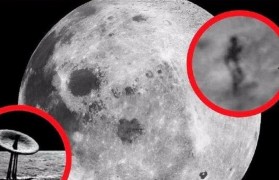 外星人的揭秘——来自未知星球的神秘生物（探索外星生物的起源、特征与可能性）