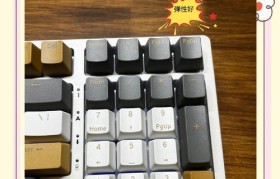 全面评析RKSIDE108键盘的性能与功能（高性能机械键盘推荐，畅快打字体验尽在RKSIDE108）