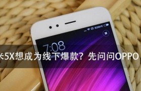 如何降低OPPOR11噪音的方法与技巧（从设备设置到软件优化，打造清晰音质的使用体验）