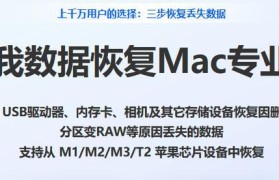 如何恢复U盘数据（有效方法教你恢复误删、格式化或损坏的U盘数据）