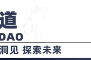 以.eu域名为主题的文章（探索.eu域名的独特魅力及其在欧洲互联网发展中的地位）