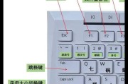 电脑键盘按键功能解析（深入了解电脑键盘各个按键的功能及使用方法）