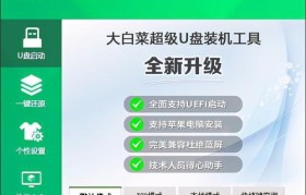 轻松学习以PEU盘的使用教程（发现PEU盘的功能与便利性，全方位解析PEU盘的使用技巧）