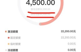玖富手机分期（了解玖富手机分期的利弊与特点）