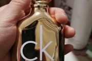 探索磁动力CK300的未来之路（领跑未来交通技术的磁动力车型）