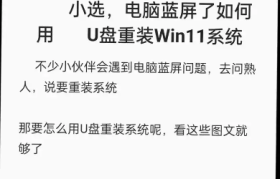 重装电脑系统U盘操作全攻略：详细步骤与技巧