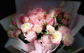 6sp苹果拍照表现如何？（探索6sp苹果相机的功能与特点）