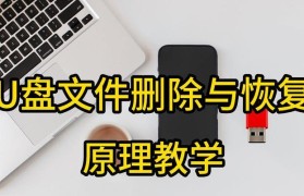 如何恢复无法删除的文件（解决U盘中无法删除文件的问题）