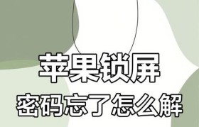 解开手机密码的有效方法（掌握关键技巧，快速解锁手机密码）