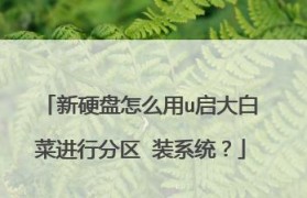 如何通过修改分区类型来优化大白菜种植效果（教你一招，大幅提升大白菜产量与质量）