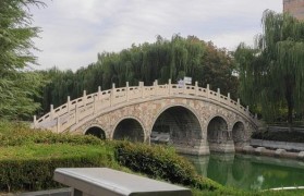 以单县联通为主题的文章（探究单县联通的服务质量和用户体验）