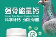 Geled质量如何？——全面评估这款产品的性能和可靠性（解析Geled产品的优点和缺点，为您提供决策参考）