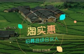 农村淘实惠（以农村淘实惠为主题，揭开乡村购物的独特魅力）