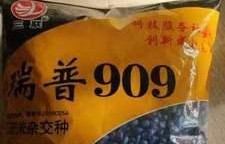 以单县联通为主的通信服务如何满足人们的需求？（了解单县联通，畅享高质量通信体验）