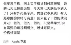 闲鱼手机行货购买指南（了解闲鱼手机的品质、价格和购买技巧）