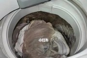 洗衣机洗鞋的正确方法与注意事项（让鞋子焕然一新，洗衣机帮你搞定！）