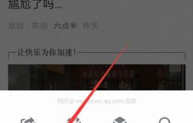 如何使用电视开启投屏功能（详细步骤让您轻松享受投屏乐趣）