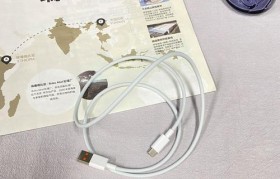 以BS充电器苹果怎么样？（探究BS品牌充电器对苹果设备的适用性及性能表现）