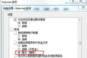 Win10下IE浏览器安全设置的必要性（提升IE浏览器安全性，保护个人隐私和计算机安全）