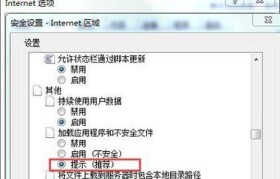 Win10下IE浏览器安全设置的必要性（提升IE浏览器安全性，保护个人隐私和计算机安全）