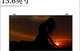 暗影精灵3（质量过硬，无限精彩）