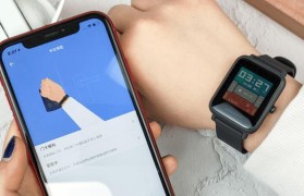 以米动青春（探索年轻一代用激情塑造自己的人生轨迹）