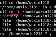 Linux基础命令入门指南（掌握关键的Linux命令，轻松入门Linux操作系统）
