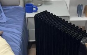 奥克斯油汀的品质究竟如何？（了解奥克斯油汀，了解高品质的选择）
