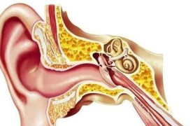 耳屎过多的危害及应对方法（探讨耳屎多的原因、后果和清理方法）