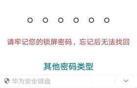 荣耀5指纹录入技术的便捷与安全性（一指封存世界，保护隐私与安全的新选择）