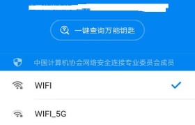 如何通过手机查看已连接的WiFi密码（一键获取已连接WiFi密码，轻松解决忘记密码的尴尬局面）